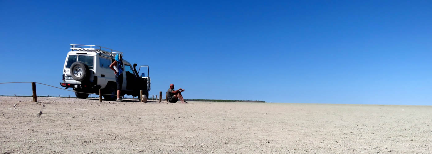 Etosha safari landscape in Namibia