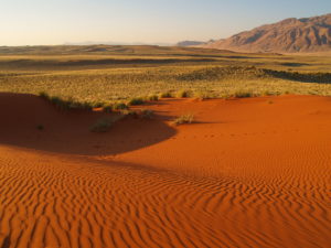 Namib-Naukluft National Park