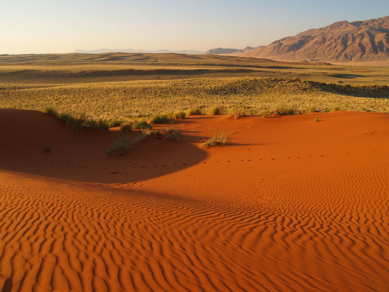 Namib-Naukluft National Park