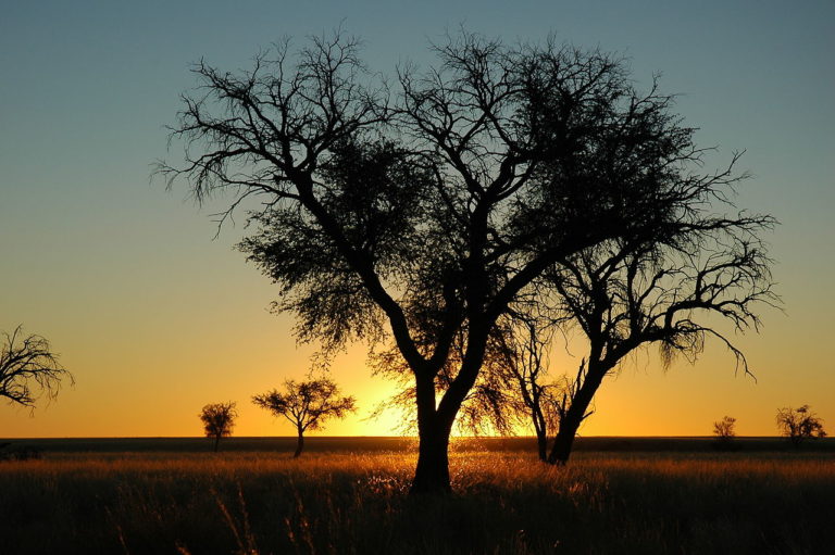Namib-Naukluft National Park Sunset