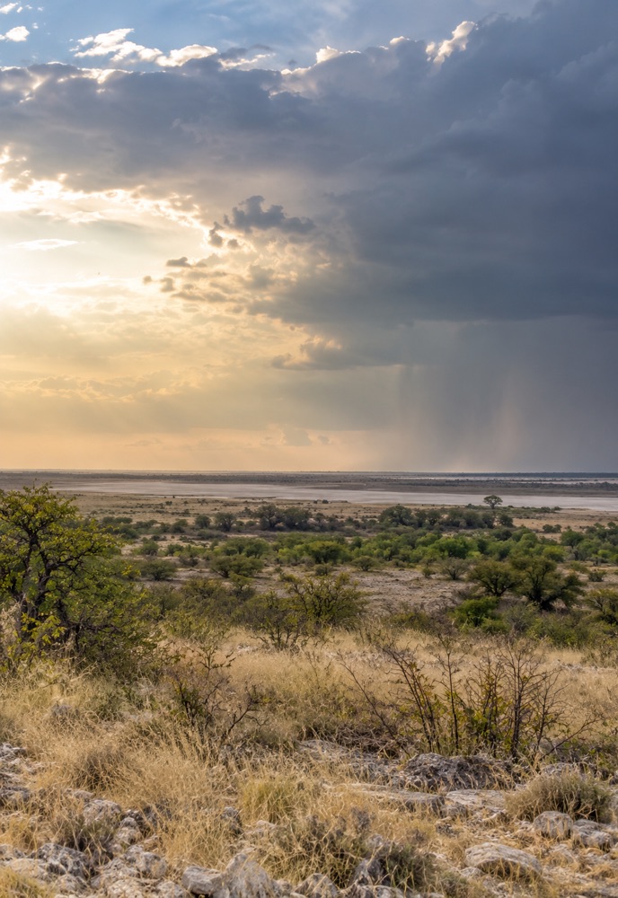 Rain clouds approaching the dry Etosha landscape